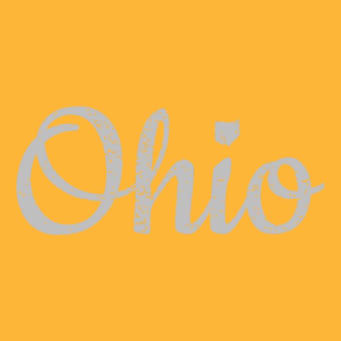 State Of Ohio Pride Script Text Distressed Design Gifts Pom Pom 12in Knit Beanie