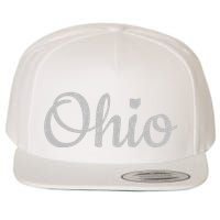 State Of Ohio Pride Script Text Distressed Design Gifts Wool Snapback Cap