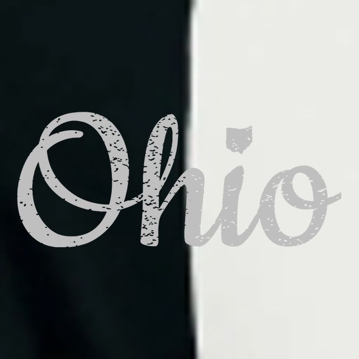 State Of Ohio Pride Script Text Distressed Design Gifts Infant Baby Jersey Bodysuit