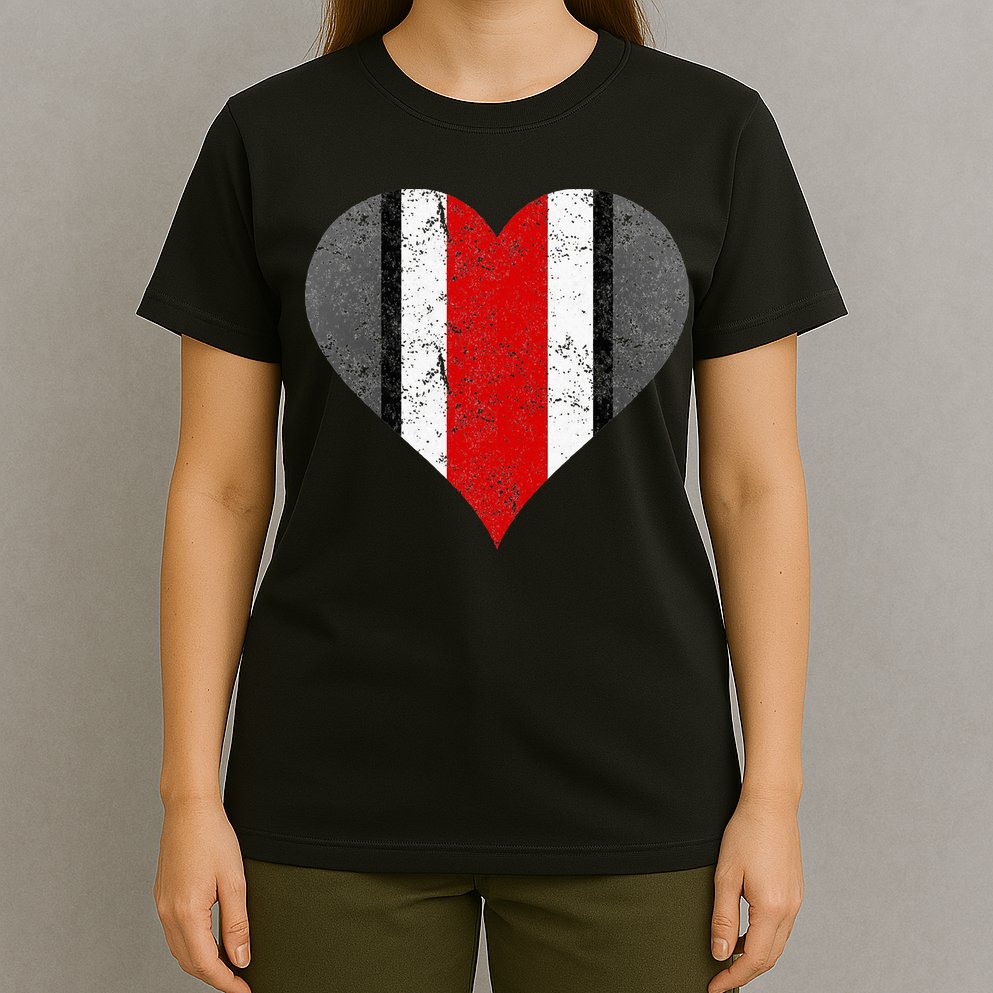State Of Ohio Pride Striped Distressed T-Shirt