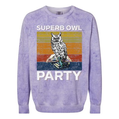 Superb Owl Party What We Do In The Shadows Owl Lover Colorblast Crewneck Sweatshirt