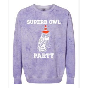 Superb Owl Party What We Do in the Shadows Owl Lover Colorblast Crewneck Sweatshirt