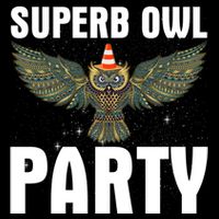 Superb Owl Party What We Do In The Shadows Classic Gift Drawstring Bag