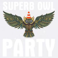 Superb Owl Party What We Do In The Shadows Classic Gift Garment-Dyed Sweatshirt