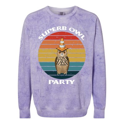 Superb Owl Party Retro Vintage Owl Lover Colorblast Crewneck Sweatshirt