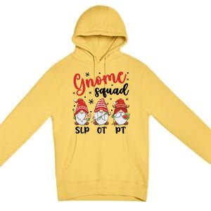 Slp Ot Pt Gnome Squad Christmas Therapist Team Xmas Pajamas Gift Premium Pullover Hoodie