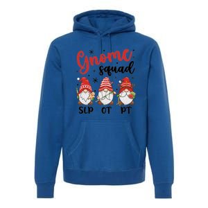 Slp Ot Pt Gnome Squad Christmas Therapist Team Xmas Pajamas Gift Premium Hoodie