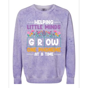 Science Of Reading Helping Little Minds Grow Phonics Meaningful Gift Colorblast Crewneck Sweatshirt