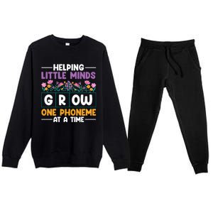 Science Of Reading Helping Little Minds Grow Phonics Meaningful Gift Premium Crewneck Sweatsuit Set