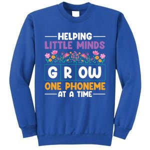 Science Of Reading Helping Little Minds Grow Phonics Meaningful Gift Sweatshirt