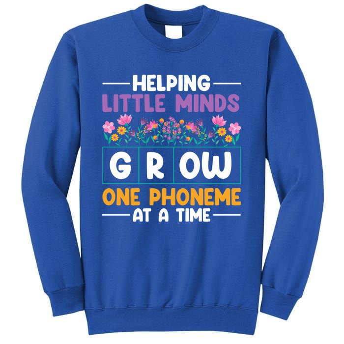 Science Of Reading Helping Little Minds Grow Phonics Meaningful Gift Tall Sweatshirt