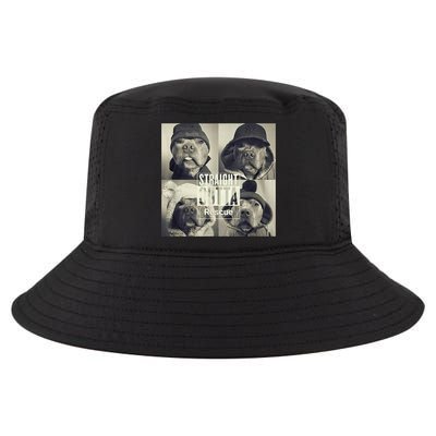 Straight Outta Rescue Pitbull Cool Comfort Performance Bucket Hat