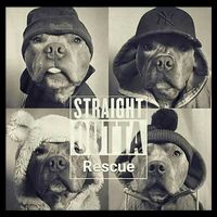 Straight Outta Rescue Pitbull Sustainable Bucket Hat