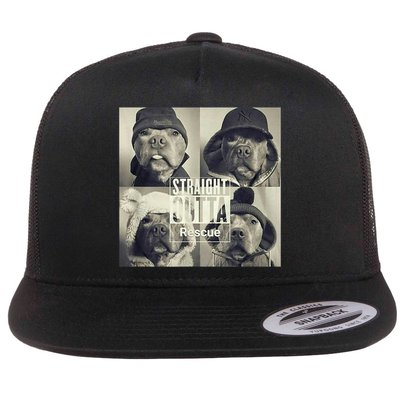Straight Outta Rescue Pitbull Flatbill Hat
