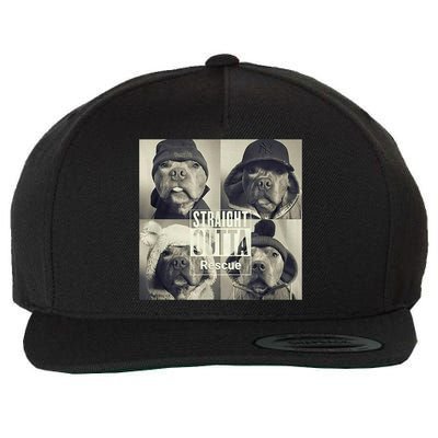Straight Outta Rescue Pitbull Wool Snapback Cap