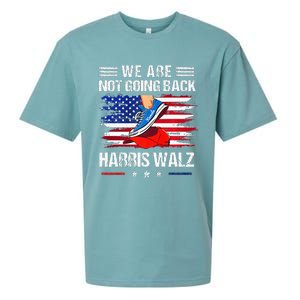 Stepping On Red Hat WeRe Not Going Back Harris Waltz Premium Sueded Cloud Jersey T-Shirt