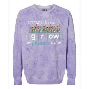 Science Of Reading Helping A Little Minds Grow Phonics Women Colorblast Crewneck Sweatshirt