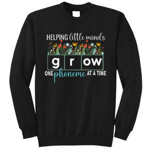 Science Of Reading Helping A Little Minds Grow Phonics Women Sweatshirt