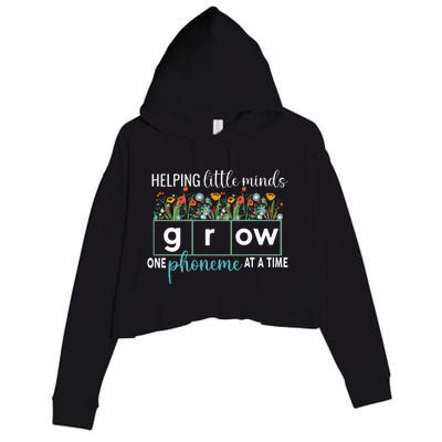 Science Of Reading Helping A Little Minds Grow Phonics Women Crop Fleece Hoodie