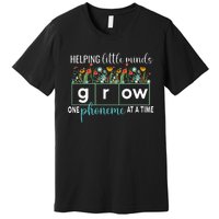 Science Of Reading Helping A Little Minds Grow Phonics Women Premium T-Shirt