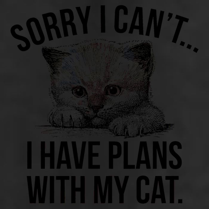 Sorry I Cant I Have Plans With My Cat Funny Crop Fleece Hoodie