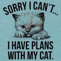 Sorry I Cant I Have Plans With My Cat Funny Sueded Cloud Jersey T-Shirt