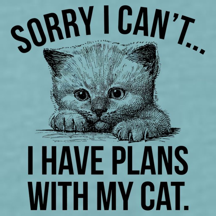 Sorry I Cant I Have Plans With My Cat Funny Sueded Cloud Jersey T-Shirt
