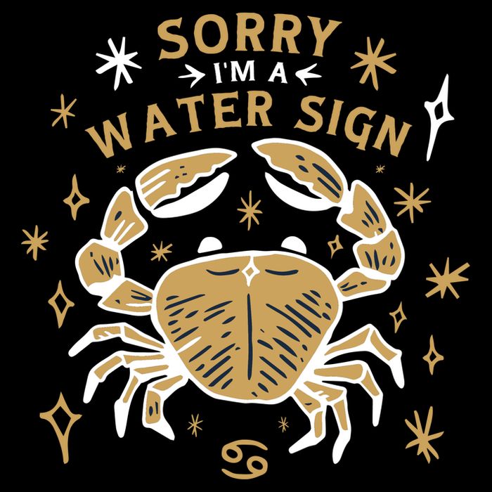 Sorry I'm A Water Sign Crab Stripe Pom Pom Beanie