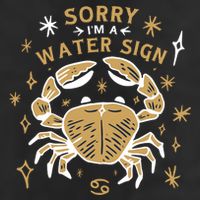 Sorry I'm A Water Sign Crab Adult Drive Performance Visor