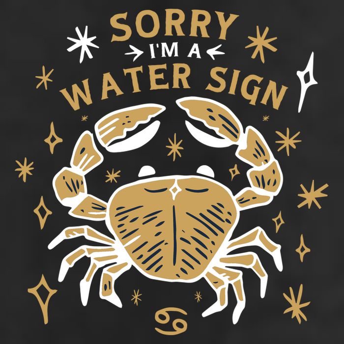 Sorry I'm A Water Sign Crab Adult Drive Performance Visor