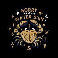 Sorry I'm A Water Sign Zodiac Birthday City Backpack