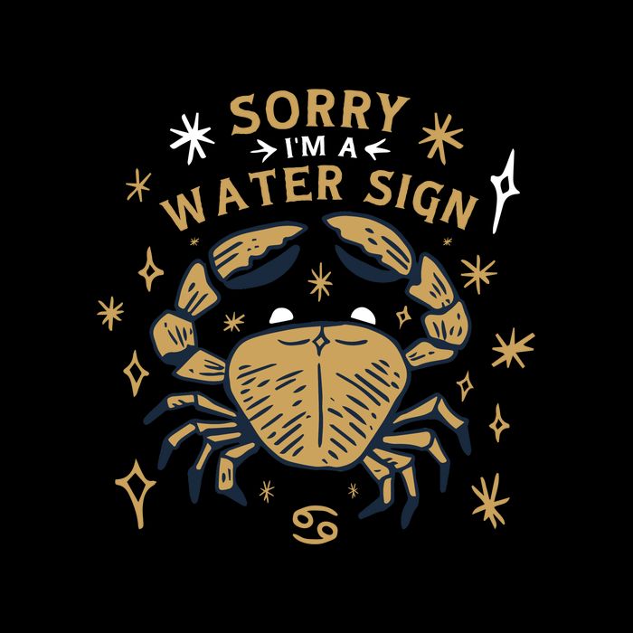 Sorry I'm A Water Sign Zodiac Birthday City Backpack
