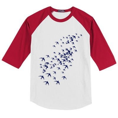 Swarm Of Swallows Flying Flock Of Birds For Nature Lovers Kids Colorblock Raglan Jersey