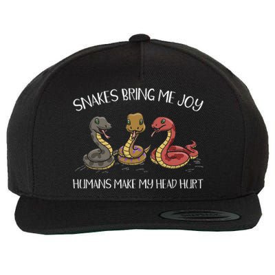 Snake Owner Snake Collector Snake Whisperer Serpent Wool Snapback Cap