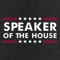 Speaker Of The House Of Representatives Novelty Usa Senate Adult Drive Performance Visor