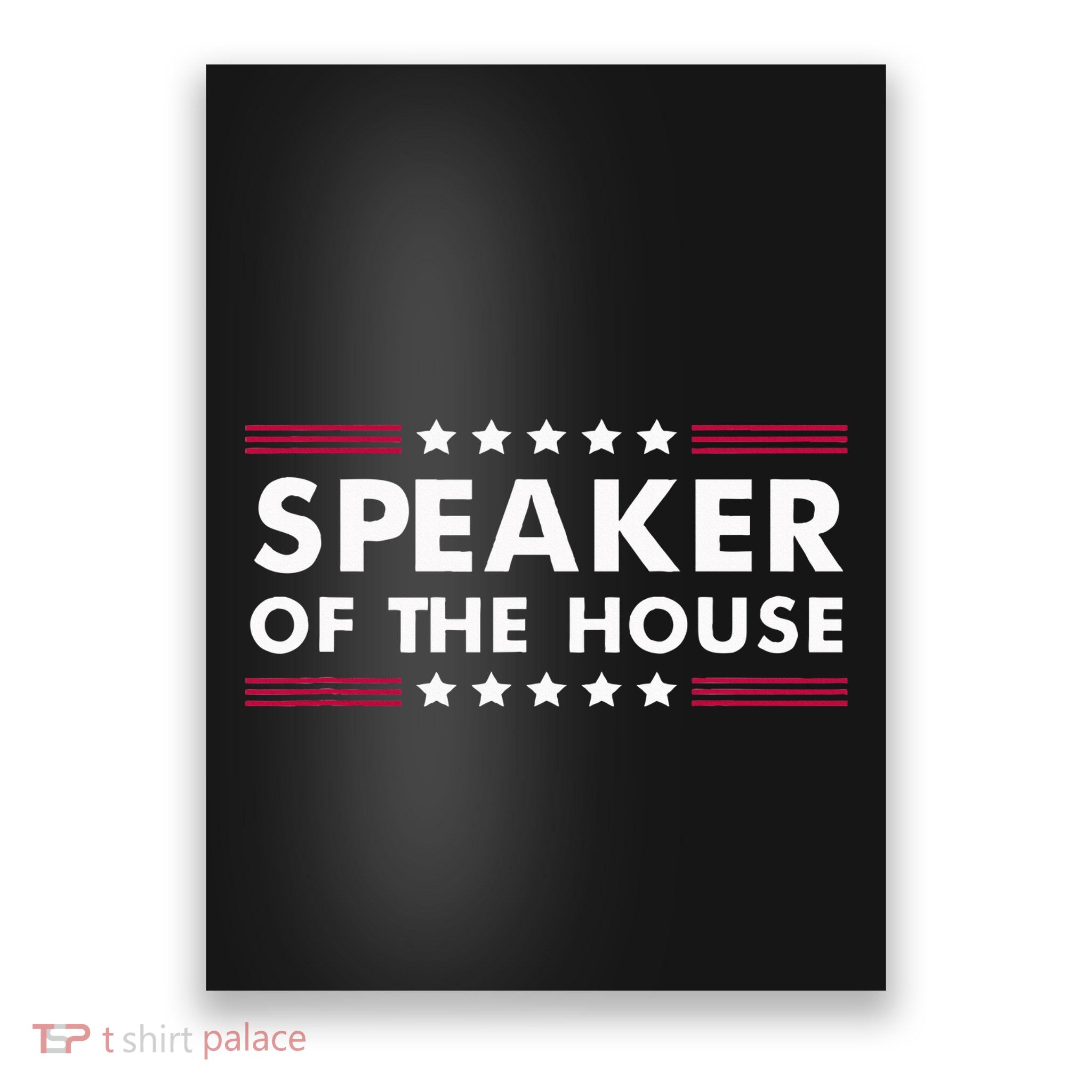 Speaker Of The House Of Representatives Novelty Usa Senate Poster