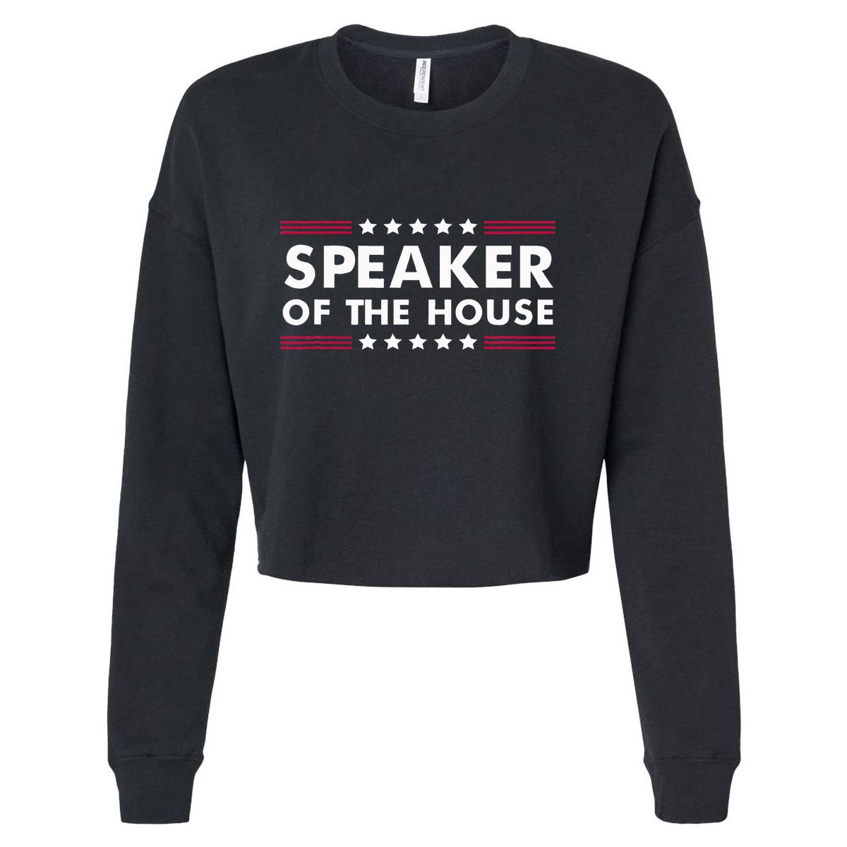Speaker Of The House Of Representatives Novelty Usa Senate Cropped Pullover Crew
