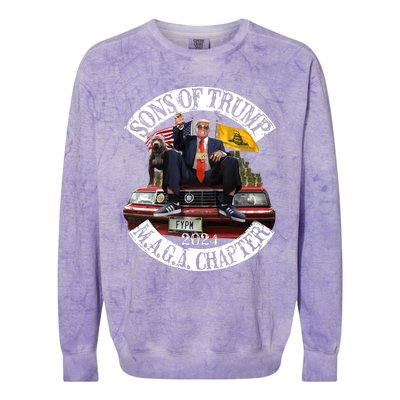 Sons Of Trump Maga Chapter 2024 With Pitbull Car Colorblast Crewneck Sweatshirt