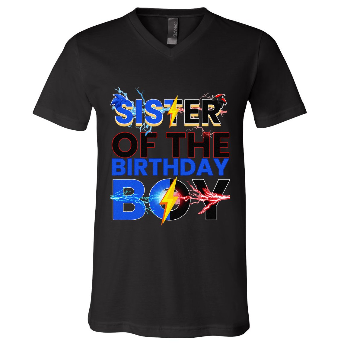Sister Of The Birthday Boy Hedgehog Family Party Decorations V-Neck T-Shirt