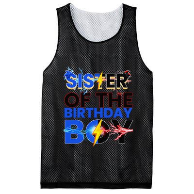 Sister Of The Birthday Boy Hedgehog Family Party Decorations Mesh Reversible Basketball Jersey Tank