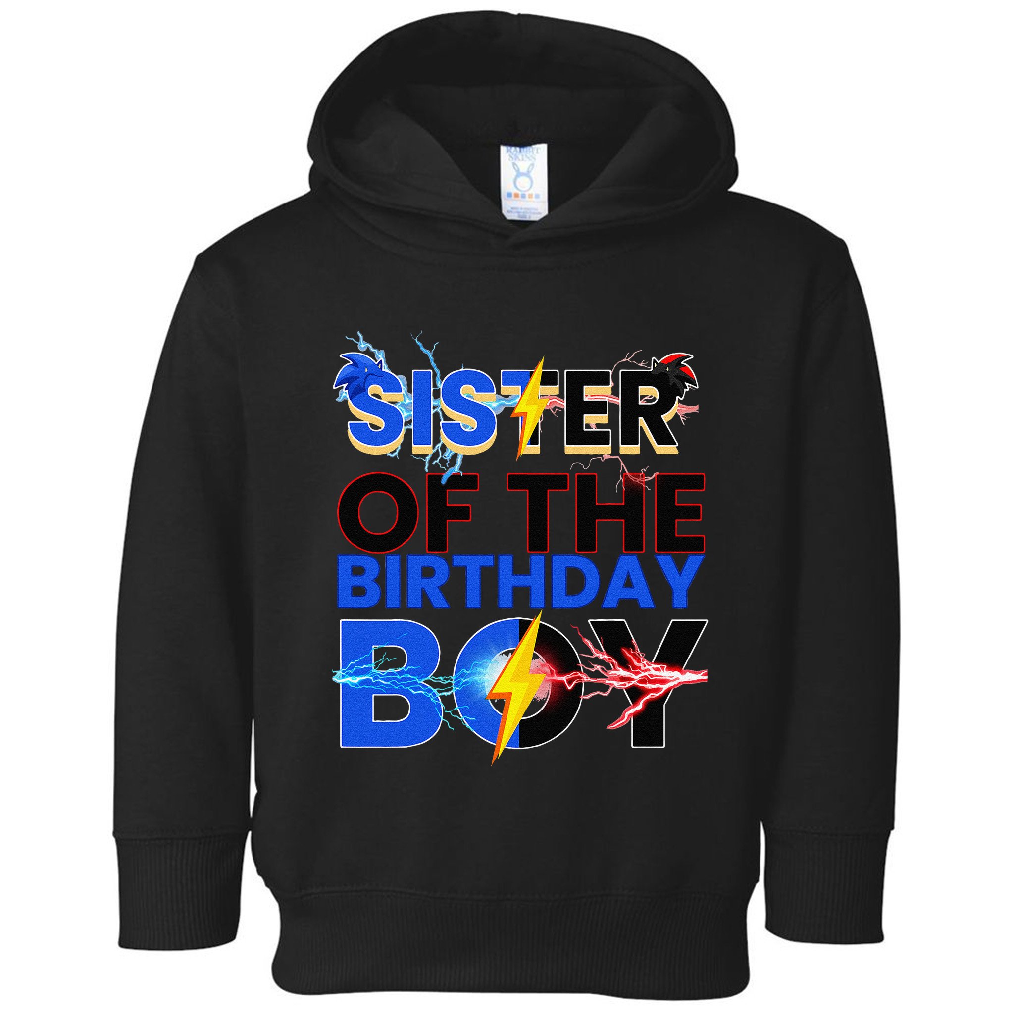 Sister Of The Birthday Boy Hedgehog Family Party Decorations Toddler Hoodie