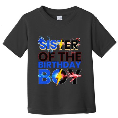 Sister Of The Birthday Boy Hedgehog Family Party Decorations Toddler T-Shirt