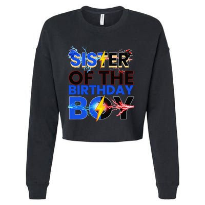 Sister Of The Birthday Boy Hedgehog Family Party Decorations Cropped Pullover Crew