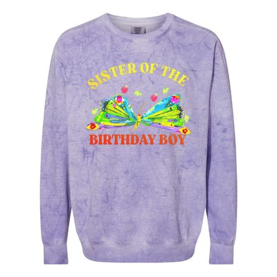 Sister Of The Birthday Hungry Caterpillar Family Colorblast Crewneck Sweatshirt