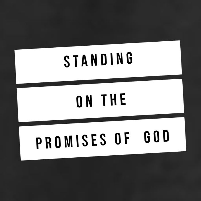 Standing On The Promises Of God 7 Panel Mesh Trucker Snapback Hat