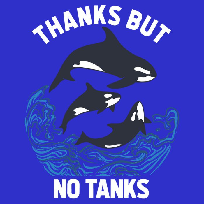 Save Orcas Thanks But No Tanks Gift Thanks But No Tanks Gift Poster