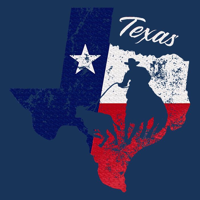 State Of Texas Flag Map Distressed Native Texan Tx Infant Baby Jersey Bodysuit