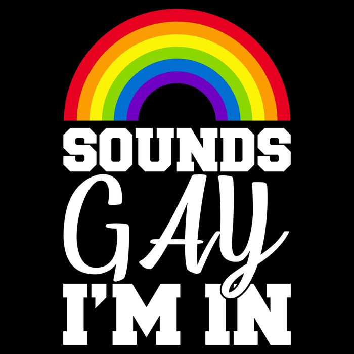 Sounds Gay I'm In Wool Snapback Cap