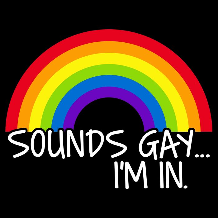 Sounds Gay I'm In Funny LGBT Drawstring Bag