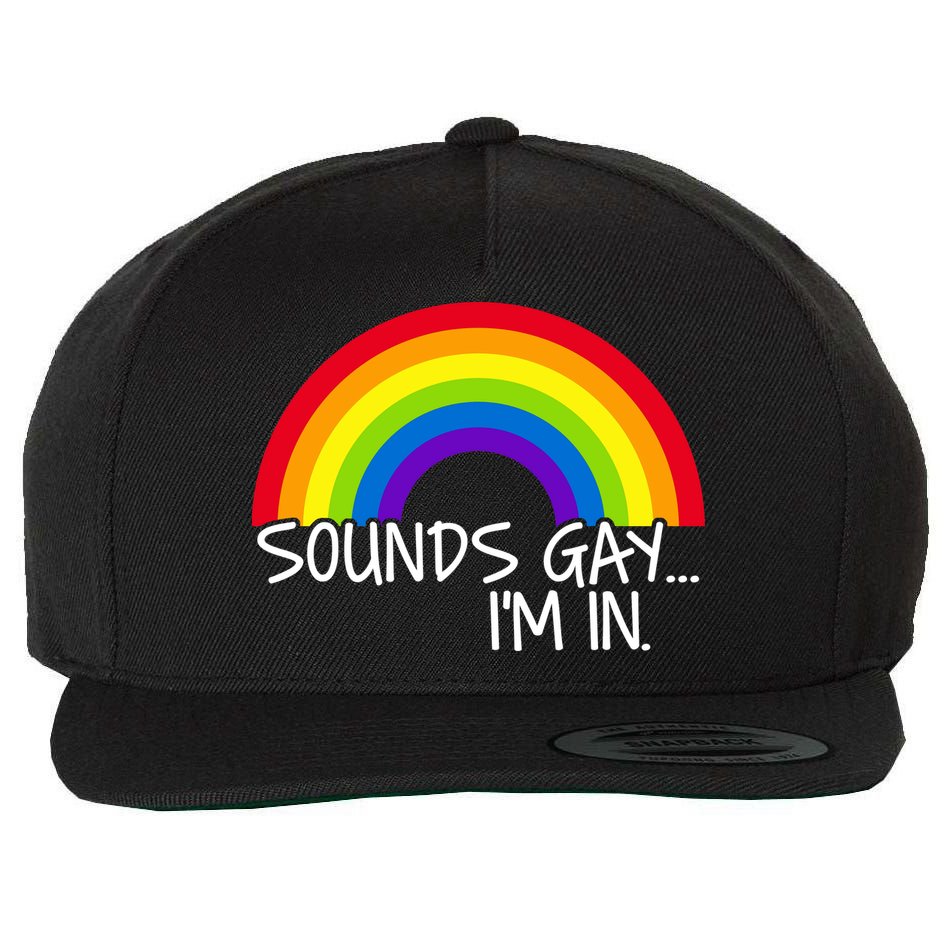 Sounds Gay I'm In Funny LGBT Wool Snapback Cap